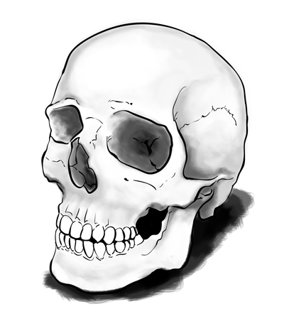 Best How Do You Draw A Skull in 2023 Don t miss out 