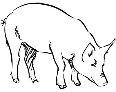 How to Draw a Pig Sketchbook Challenge 7