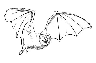 How to Draw a Bat Sketchbook Challenge 27