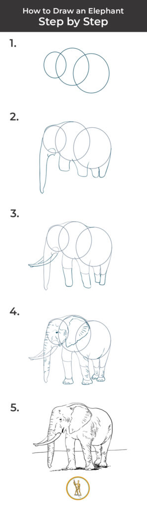 How-to-Draw-an-Elephant-Step-by-Step-Pin - SketchBookNation.com