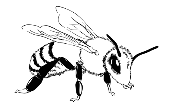 how-to-draw-a-bee-cute-step-by-step-tutorial-n-thi-hsg