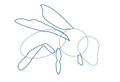 How to Draw a Bee