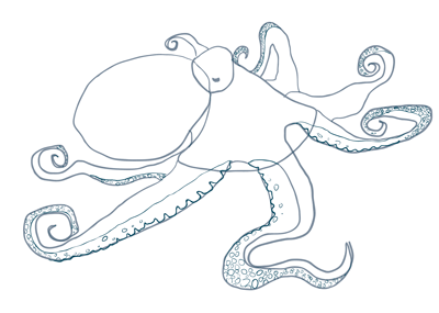 How to Draw an Octopus