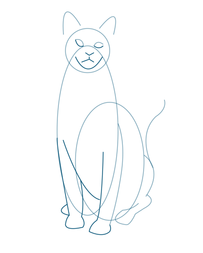 How to Draw a Realistic Cat – Sketchbook Challenge 9 | SketchBookNation.com