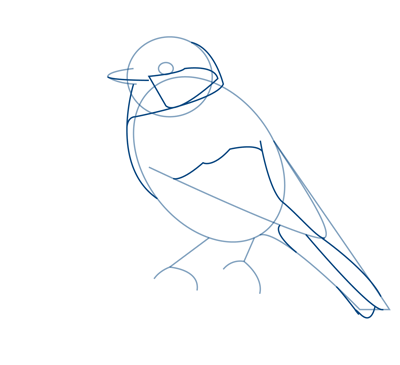 How to Draw a Bird - Step by Step