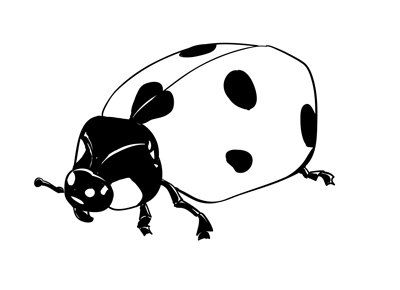 How to Draw a Ladybug – Sketchbook Challenge 44 | SketchBookNation.com