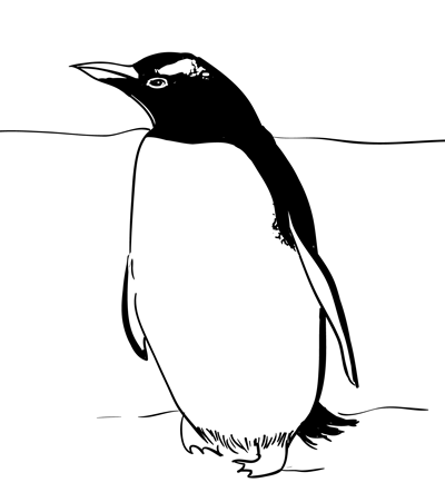 how drawing skills improve Step to by Step Penguin How Draw a