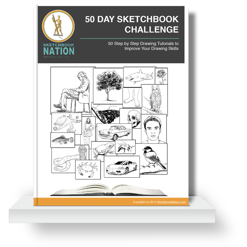 50 Day Sketchbook Challenge Ebook Sketchbooknation